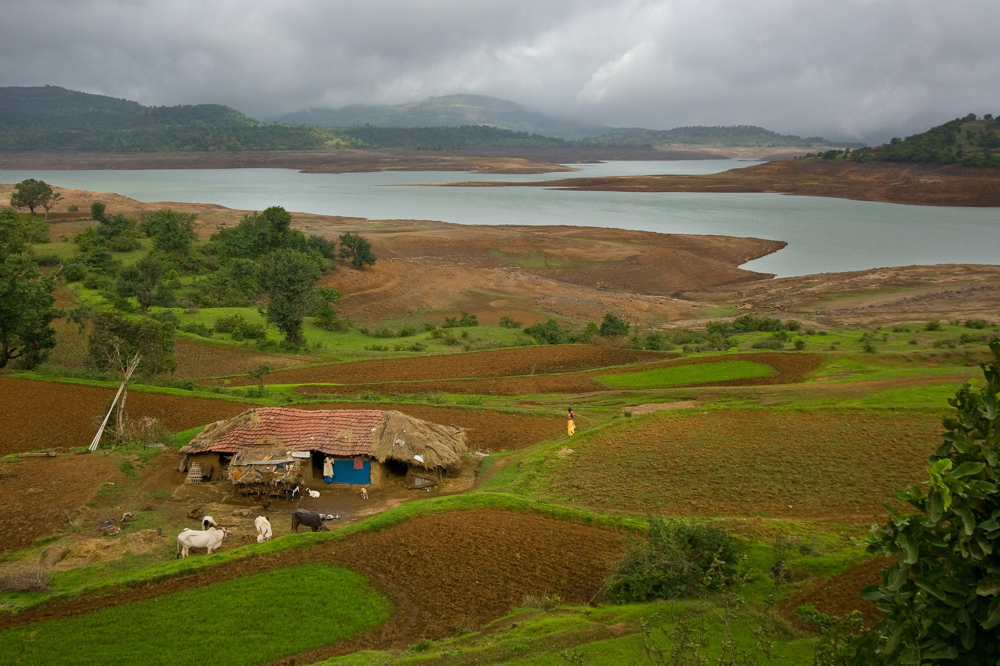 Indian Farming Land